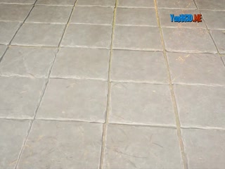 Phim Xuyên Không Thành Tiên Đế, Hệ Thống Đến Muộn Tám Vạn Năm Tập 5