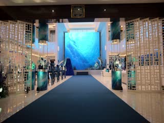Phim Desi Xa Hoa Tập 6